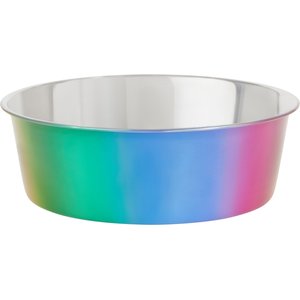Frisco Ombre Rainbow Design Stainless Steel Dog & Cat Bowl, 8 Cups
