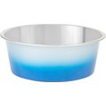 Frisco Ombre Design Stainless Steel Dog & Cat Bowl, Grey & Blue, Small: 2 cup