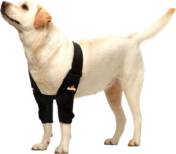 NeoAlly Elbow Protector Dog & Cat Support Brace, Both Legs, X-Small slide 1 of 10