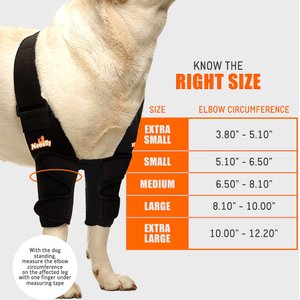 NeoAlly Elbow Protector Dog & Cat Support Brace, Both Legs, Large