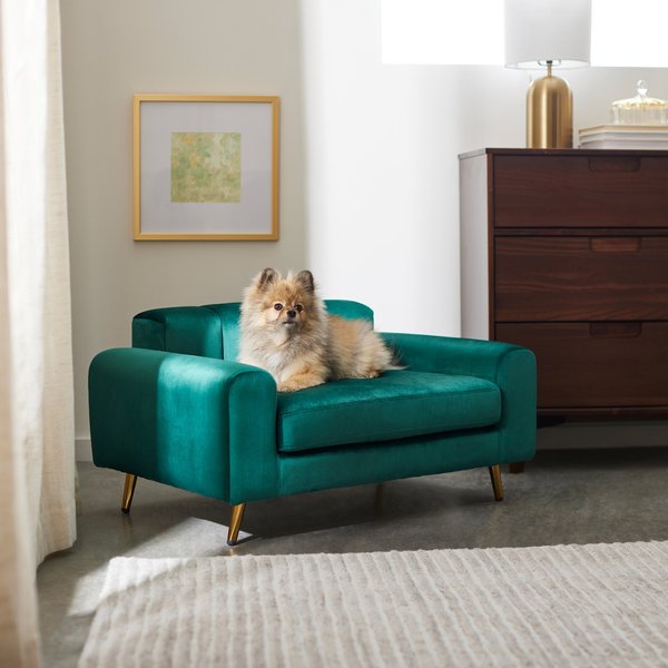 Frisco Elevated Art Deco Dog & Cat Sofa Bed with Removable Cover, Emerald Green, Medium slide 1 of 5