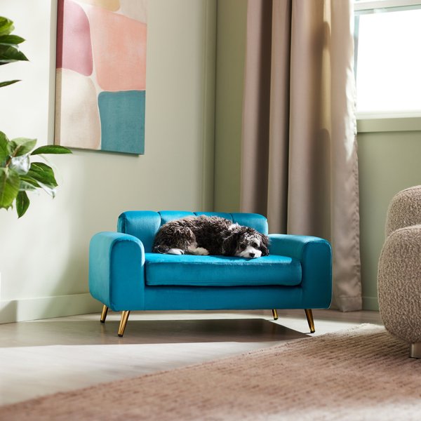 Frisco Elevated Art Deco Dog & Cat Sofa Bed with Removable Cover, Medium, Teal Blue slide 1 of 5