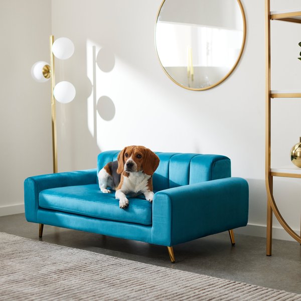 Frisco Elevated Art Deco Dog & Cat Sofa Bed with Removable Cover, Large, Teal Blue slide 1 of 4
