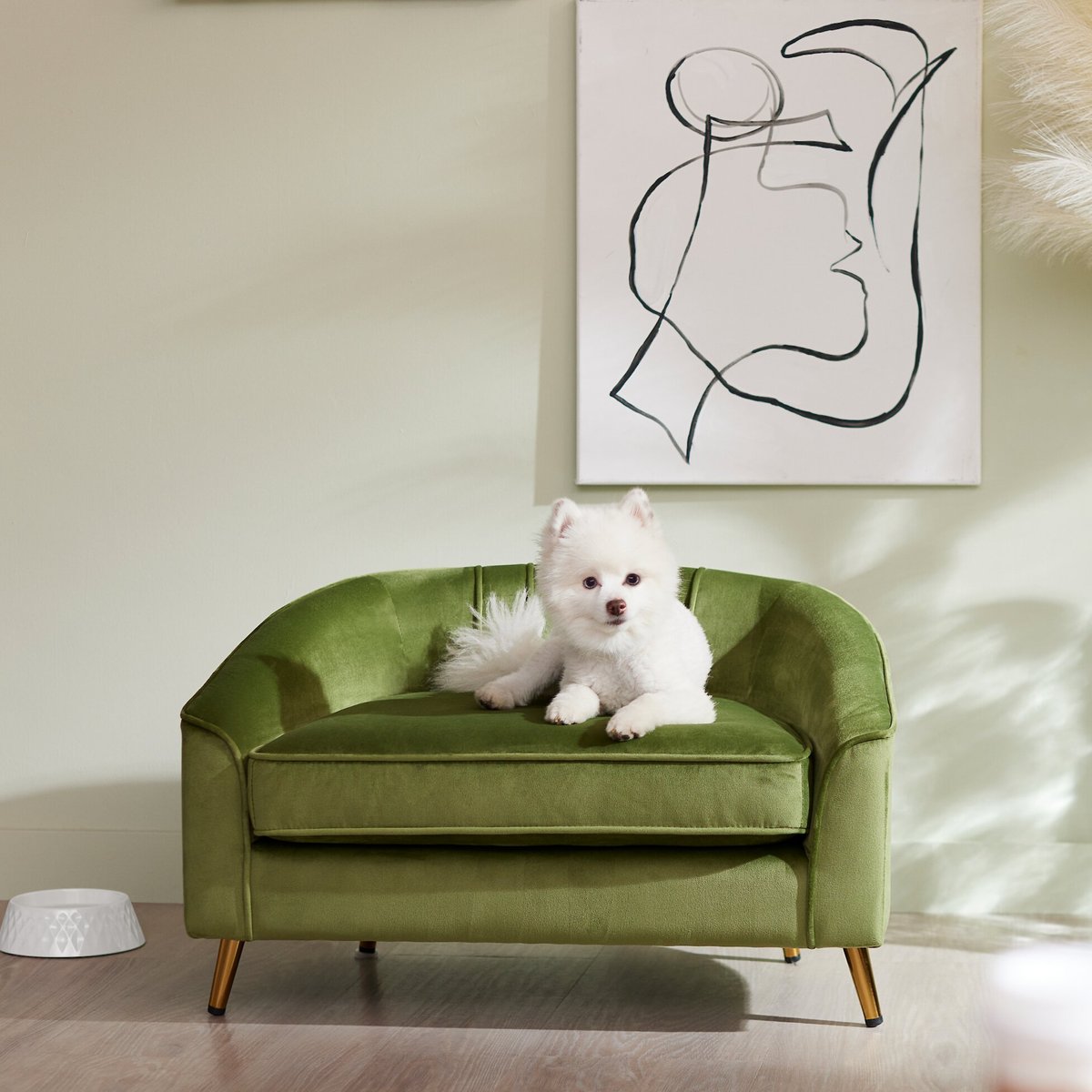 How to Get a Pet Friendly Mid Century Modern Look BeChewy