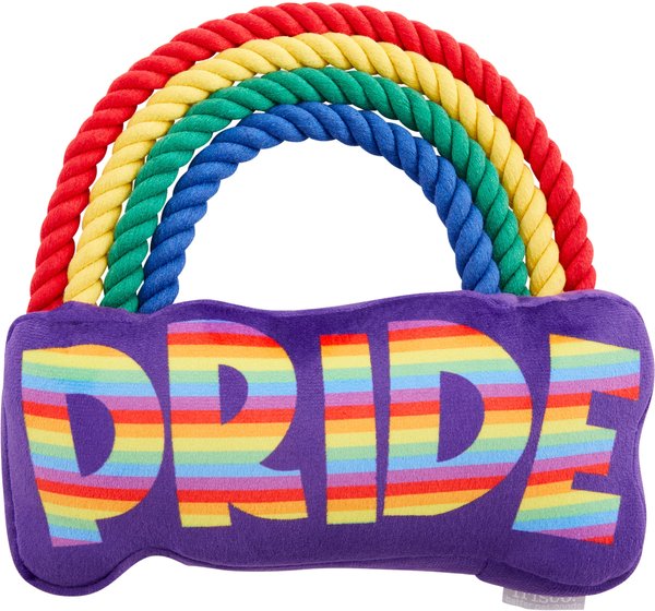 Frisco Pride Rainbow Plush with Rope Squeaky Dog Toy slide 1 of 4