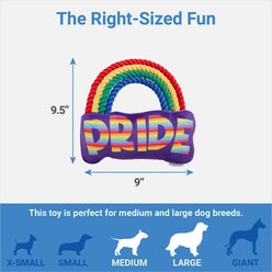 Frisco Pride Rainbow Plush with Rope Squeaky Dog Toy slide 2 of 3
