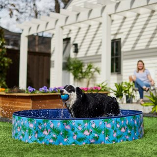 Frisco Outdoor Dog Swimming Pool, Flamingo, XX-Large slide 1 of 3