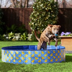 Frisco Outdoor Dog Swimming Pool, Rubber Ducky, X-Large