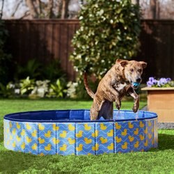 Frisco Outdoor Dog Swimming Pool, Rubber Ducky
