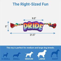 Frisco Pride Plush with Rope Squeaky Dog Toy slide 2 of 3