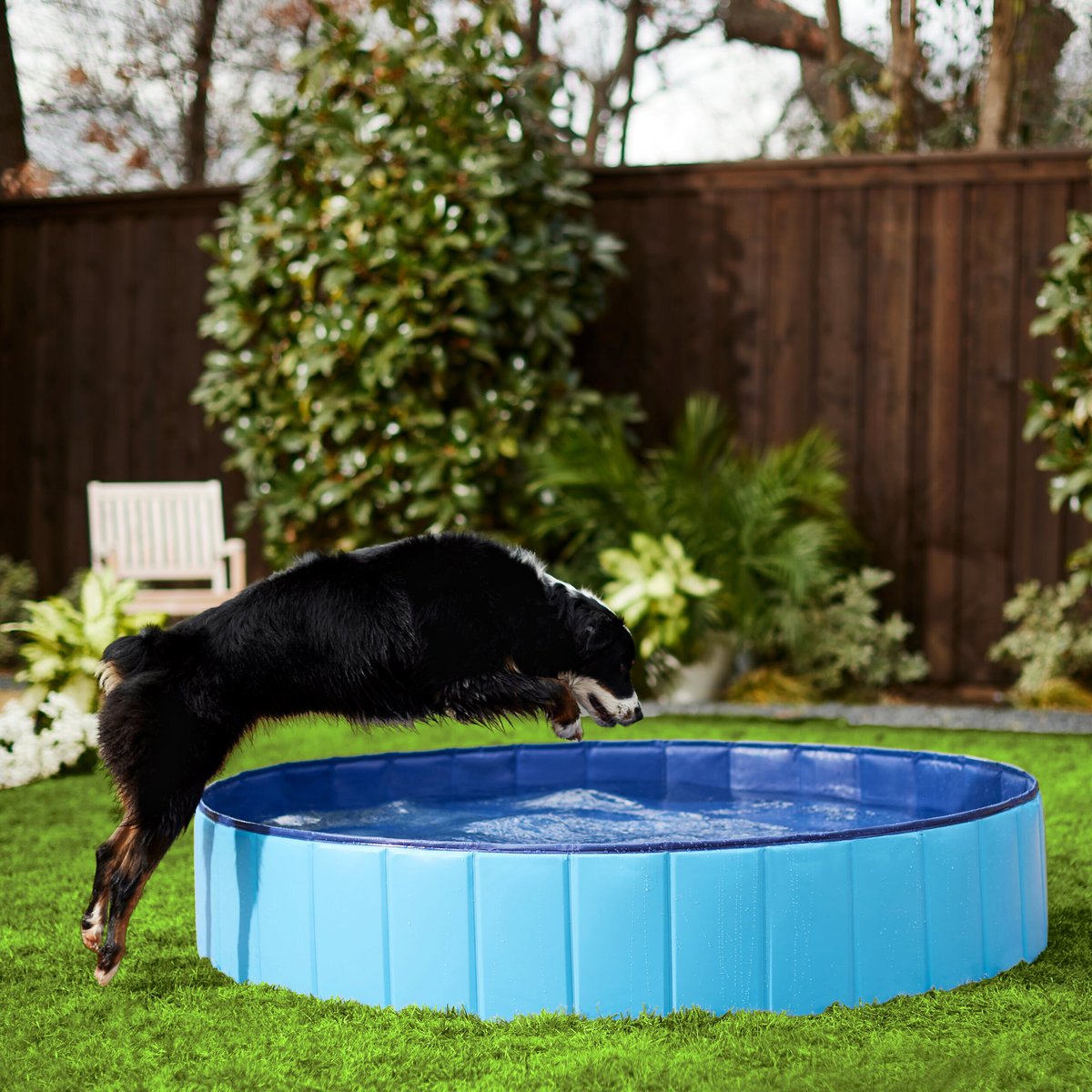 Outdoor store dog pool