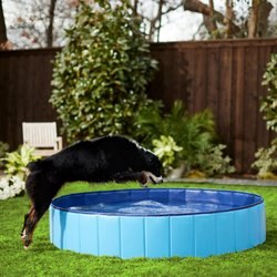 Frisco Outdoor Dog Swimming Pool, Blue
