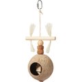 Frisco Coco Swing With Me Bird Toy