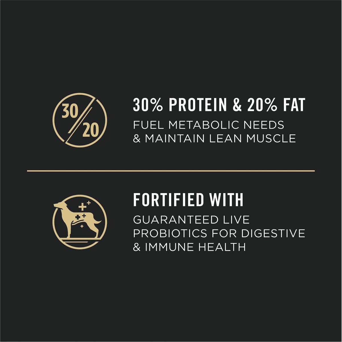 30 percent 2024 protein dog food