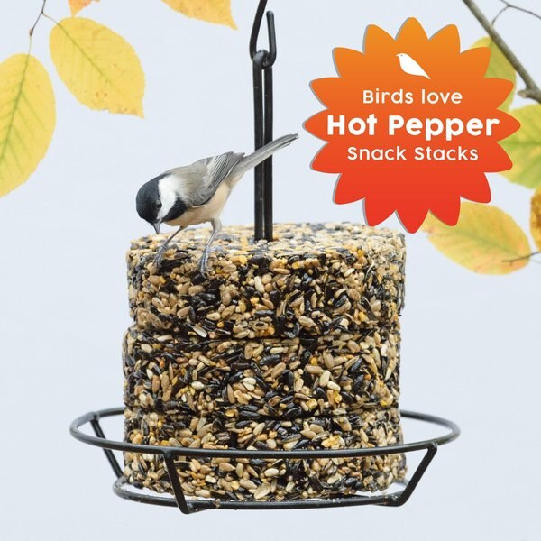 Harvest Seed & Supply Songbird Snack Stack Corn Free Wild Bird Food