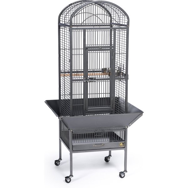 A&E CAGE COMPANY 18-in Flat Top Bird Cage, Black, Small 