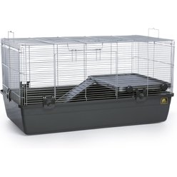 Hedgehog enclosure for sale best sale