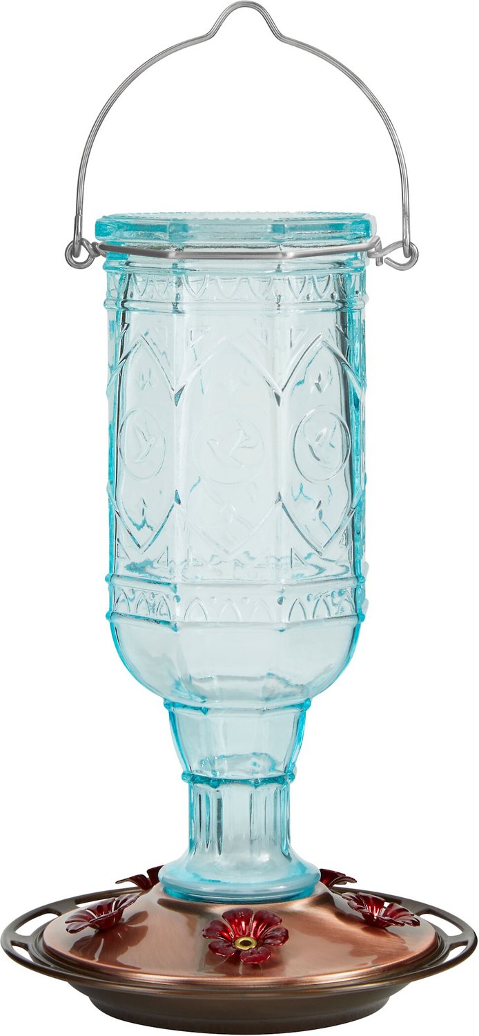 Best Hummingbird Feeders 2023 According to Reviews Chewy