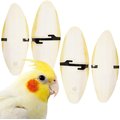 SunGrow Bird Cuttlebones Calcium Health Cockatiels & Parakeets Food, 6-in, 4 count