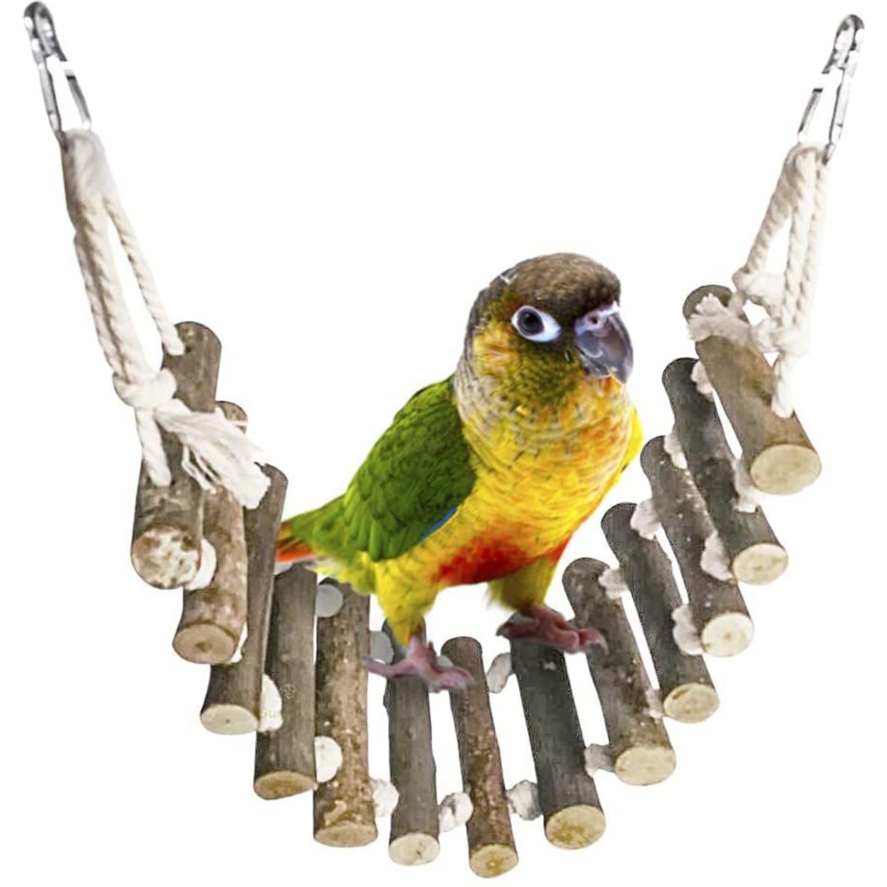 Parrot Rope Perch for Birds, Parrot Toys, Rope Bungee Bird Toy 1 Pack 4  Sizing Options 