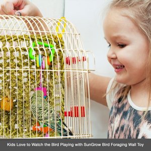 SunGrow Parrot Large Climbing & Cage Hammock Swing Foraging Net & Activity Play Bird & Small-Pet Chew Mat