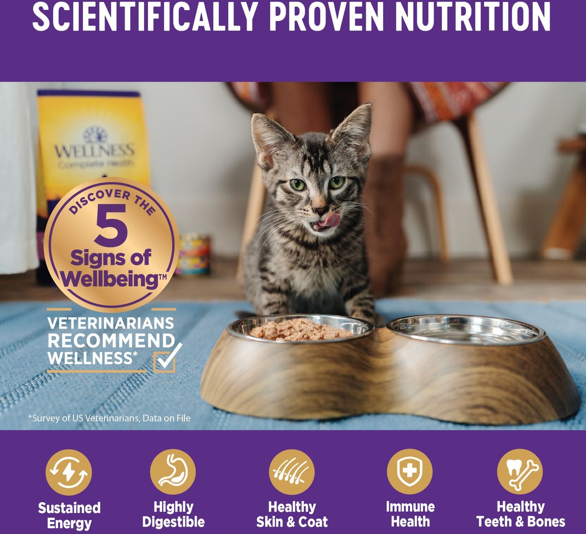 Wellness cat food clearance kitten