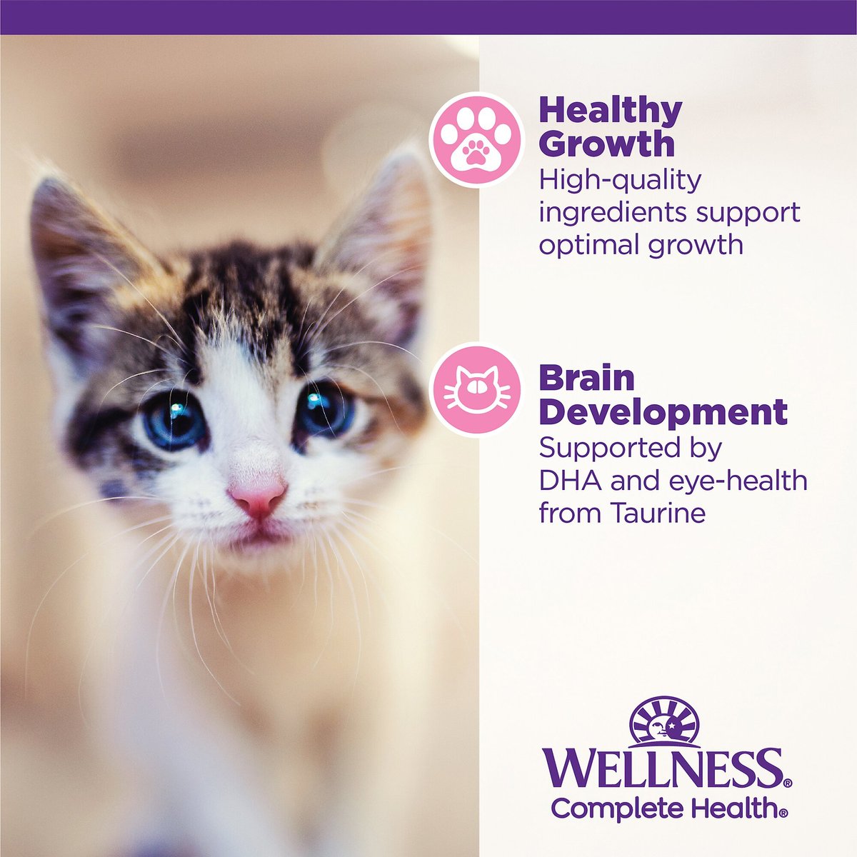 Wellness wet discount cat food reviews