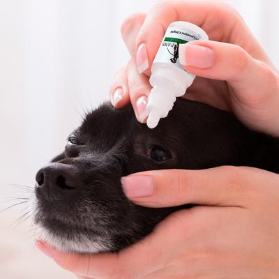 Show full view: Plush Paws Products Advanced Lanosterol Solution + Nac Dog Eye Care, 2 count slide 8 of 11