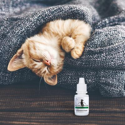 Show full view: Plush Paws Products Advanced Lanosterol Solution + Nac Dog Eye Care, 2 count slide 9 of 11