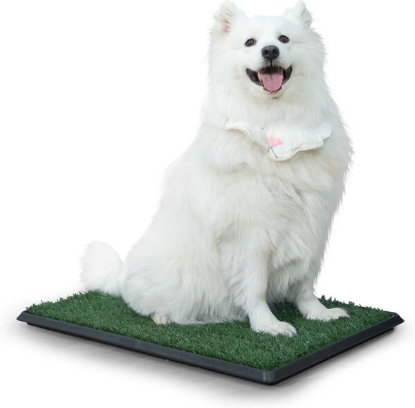 Coziwow by Jaxpety Indoor Grass Portable Pee Turf Patch Dog Potty Trainer Pad, Green, 30-in X 20-in slide 1 of 10