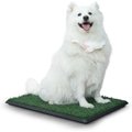 Coziwow by Jaxpety Indoor Grass Portable Pee Turf Dog Potty Trainer Pad, 30 x 20-in