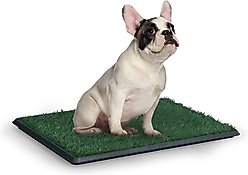 Coziwow by Jaxpety Indoor Grass Portable Pee Turf Dog Potty Trainer Pad, 25 x 20-in