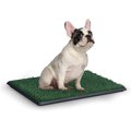 Coziwow by Jaxpety Indoor Grass Portable Pee Turf Dog Potty Trainer Pad, 25 x 20-in