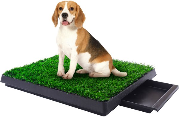 Coziwow by Jaxpety Indoor Grass Potty Dog Pee Turf with Drawer, 20 x 25-in slide 1 of 10