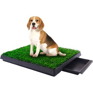 Coziwow by Jaxpety Indoor Grass Potty Dog Pee Turf with Drawer, 20 x 25-in