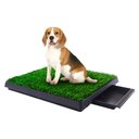 Coziwow by Jaxpety Indoor Grass Potty Dog Pee Turf with Drawer, 20 x 25-in