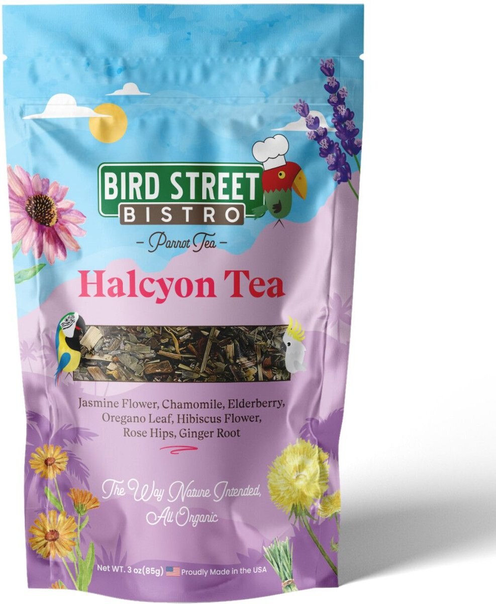 Bird Street Bistro Halcyon Parrot Tea