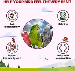 Bird Street Bistro Halcyon Parrot Tea, 3-oz bag slide 2 of 4