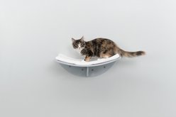 TRIXIE Lea Wall Mounted Cat Bed, X-Large, Gray slide 2 of 4