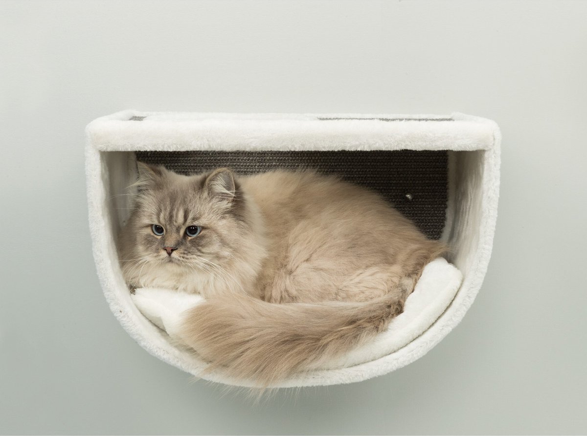 TRIXIE Eden Wall Mounted Cat Lounge Set, Gray/White