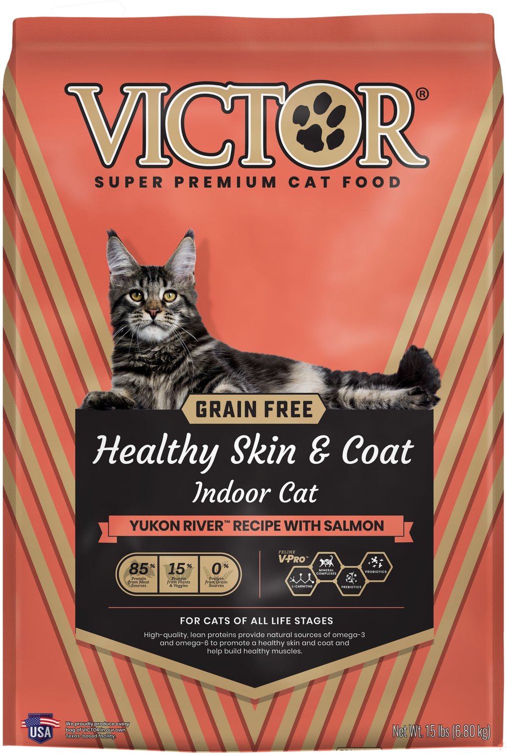 cat food for healthy coat