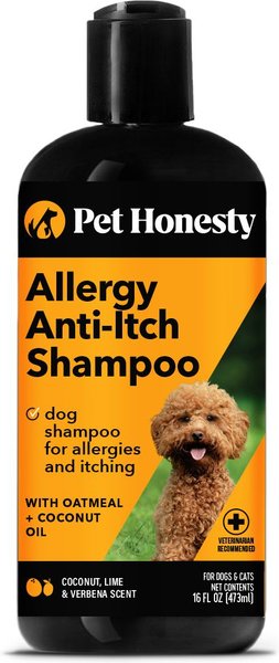 PetHonesty Allergy Anti-Itch Dog & Cat Shampoo, 16-oz bottle slide 1 of 8