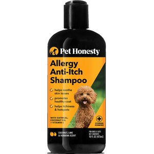 PetHonesty Allergy Anti-Itch Dog & Cat Shampoo, 16-oz bottle