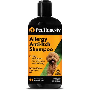 PetHonesty Allergy Anti-Itch, Allergy & Itch Relief Dog & Cat Shampoo, 16-fl oz bottle