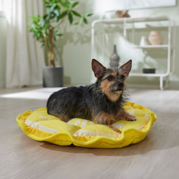 Frisco Lemon Adjustable Cat & Dog Bolster Bed slide 1 of 9
