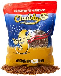 Chubby Mealworms Dried Mealworms Non-GMO Chicken Treats, 2.5-lb bag