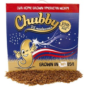 Chubby Mealworms Dried Mealworms Non-GMO Chicken Treats, 10-lb box