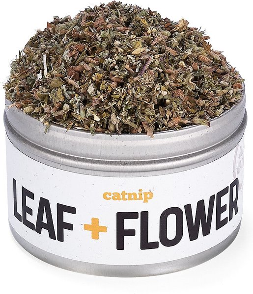 Litterbox.com Leaf & Flower Catnip, 1-oz tin slide 1 of 6