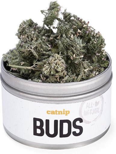 Litterbox.com Buds Catnip, 0.4-oz tin