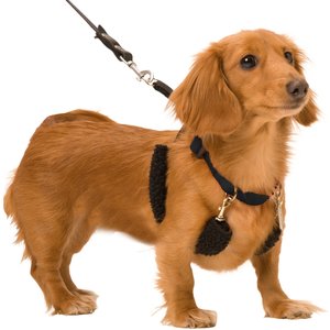 Sporn Original Training Dog Halter, Small